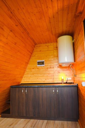 a room with a wooden wall with a sink and a light at Cabanele Adyana&Raysa in Seaca