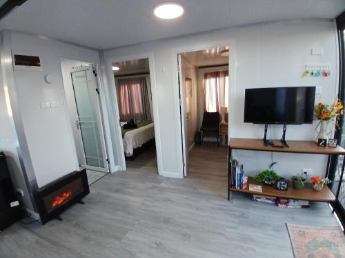 een woonkamer met televisie en open haard bij Mackenzie Motels in Fairlie