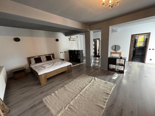 a bedroom with a bed and a rug at Casablanca Residence B in Cârcea