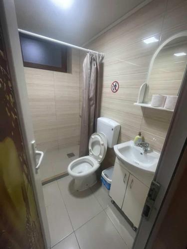 un baño con inodoro y lavabo en Studio By the Lake, en Ohrid