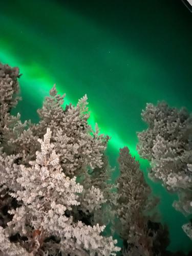 Příroda nedaleko vily