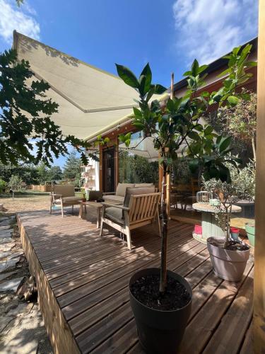 ein Holzdeck mit einem Topfbaum darauf in der Unterkunft Cozy frame house in the wood 