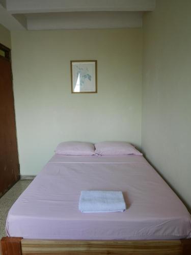 a bed in a room with a purple blanket at Apart-hotel alessia in Santiago
