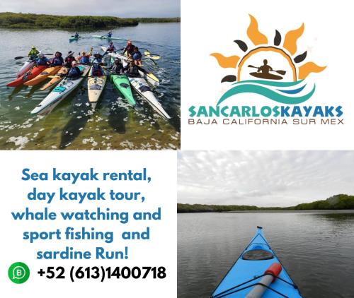 Naturlandskabet i nærheden af lejligheden