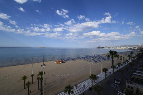 CACHIRULO 6D - Fincas Arena