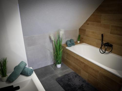 Ένα μπάνιο στο Apartmány Hradební 16