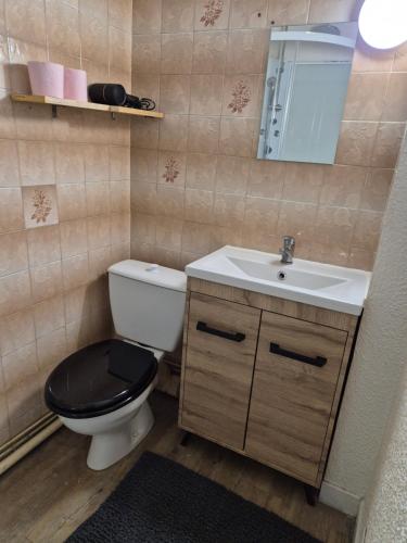 a bathroom with a toilet and a sink at Le Lagon in Saint-Gaudens