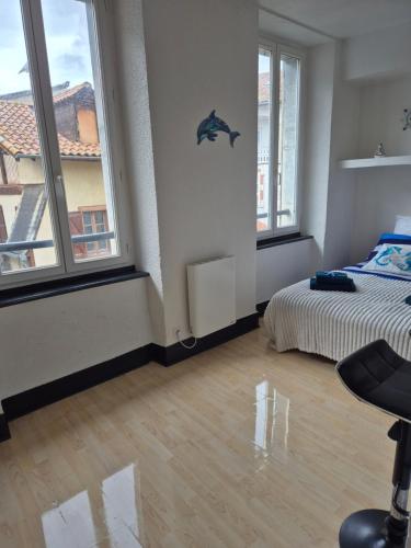 a bedroom with a bed and two windows at Le Lagon in Saint-Gaudens