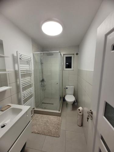a bathroom with a shower and a toilet and a sink at Casa Lumi in Petrila