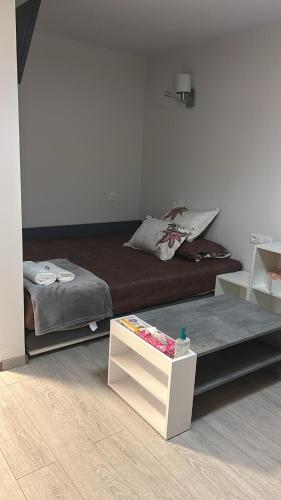 Ένα ή περισσότερα κρεβάτια σε δωμάτιο στο MANIU-APUSULUI Studio