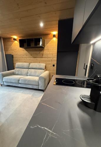 Appartement au pied des pistes