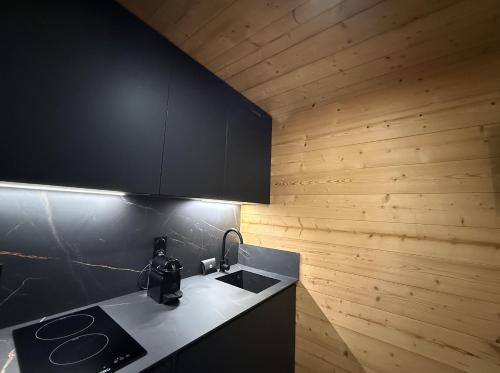 Cuisine ou kitchenette dans l'établissement Appartement au pied des pistes