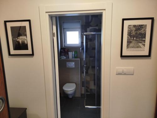 ein Badezimmer mit Toilette und Glasdusche in der Unterkunft Cera avangarda apartment in Bukorovac