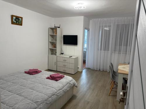 Postel nebo postele na pokoji v ubytování Garsonieră Craiova