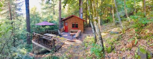 Aed väljaspool majutusasutust Russian River Treehouse