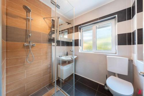 a bathroom with a toilet and a sink and a shower at Ferienwohnung Los Amigos in Thiersee