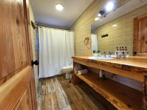 a bathroom with a sink and a toilet at Alto Terralis in Minetué