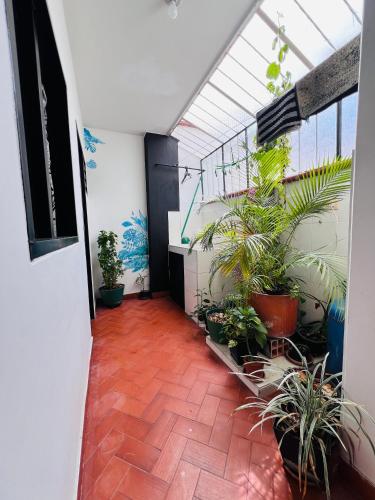 an indoor hallway with plants in a building at Hermoso apartamento en el centro histórico de San Gil I 2 in San Gil