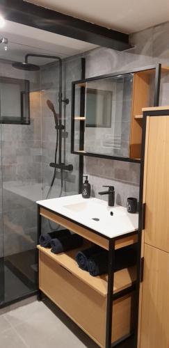 a bathroom with a sink and a shower at Chez Mat in Lans-en-Vercors