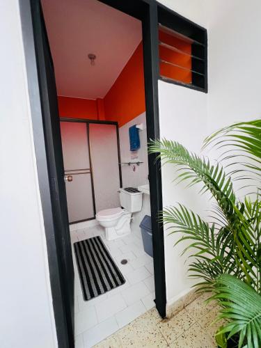 a bathroom with a toilet and a plant at Espectacular y céntrico apartamento en el corazón de San Gil 1 in San Gil