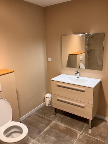 a bathroom with a toilet and a sink and a mirror at La Caverne Bretonne in Renac