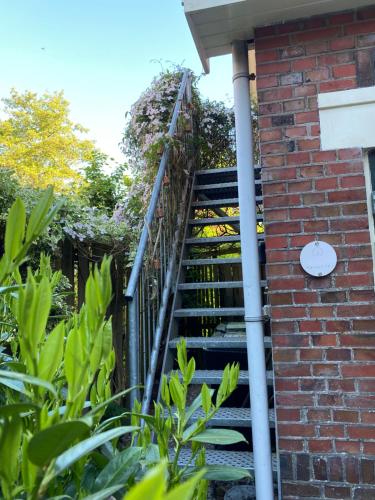 Κήπος έξω από το Studio Perron 10