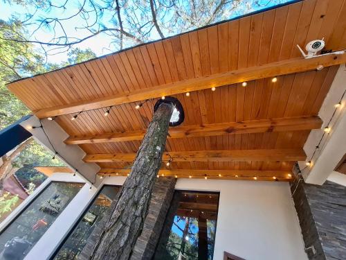 ein Holzdach auf einem Haus mit einem Baum in der Unterkunft Cabaña "Alexa", en el corazón del bosque de Mazamitla in Mazamitla