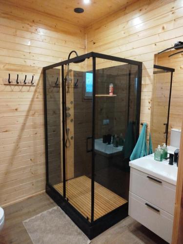 a bathroom with a shower and a sink at Gruszchatka 2 in Fredropol