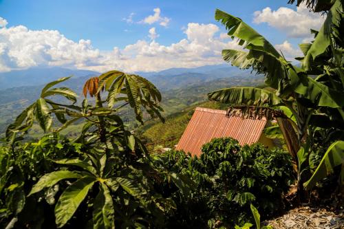 Afbeelding uit fotogalerij van Finca Hotel Los Guayacanes in San JosÃ©