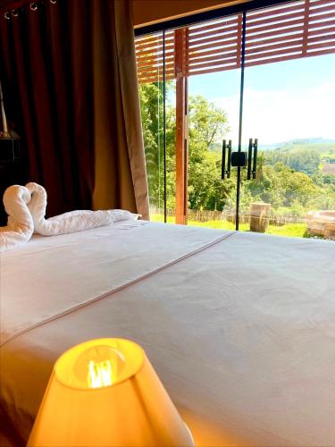 a bedroom with a large bed with a large window at Pousada Chalé privativa mirante do sol in Socorro