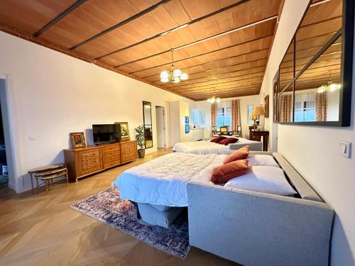 - une grande chambre avec 2 lits et une télévision dans l'établissement Le Manoir du Bonheur, à Chaumes-en-Brie