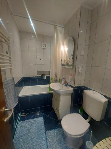 a bathroom with a toilet and a sink and a tub at Emilia's Dreamhouse in Gura Humorului