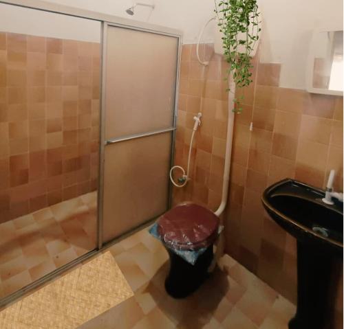 ein Badezimmer mit Dusche, Toilette und Waschbecken in der Unterkunft Sítio Bela Vista in Maceió