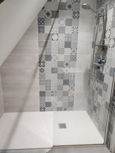 a shower with a glass door in a bathroom at Maison de campagne in Restigné