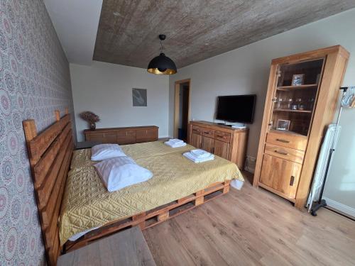 a bedroom with a large bed and a television at Apartamentai 78 in Mažeikiai