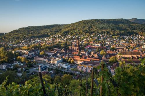 Φωτογραφία από το άλμπουμ του Appartement FLORILOFT στο Guebwiller