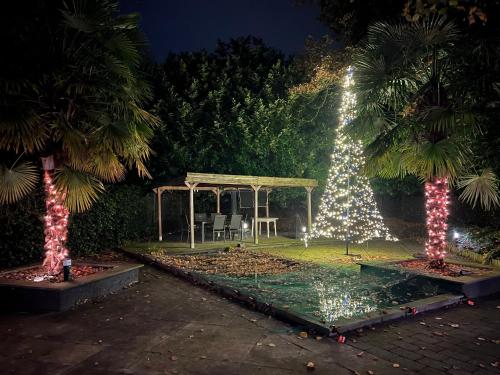 a christmas tree and a gazebo in a garden at night at Vakantiehuisje Ommen in Ommen