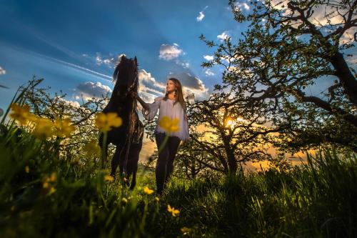 Fotografie z fotogalerie ubytování Pensiunea Ținutul Mărului 