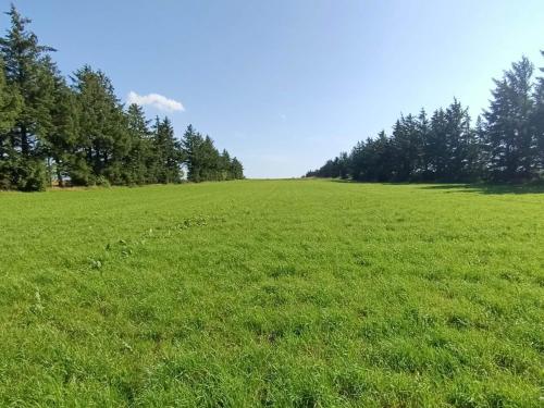 Příroda nedaleko prázdninového domu