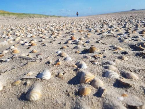 Φυσικό τοπίο κοντά σε αυτή η παραθεριστική κατοικία