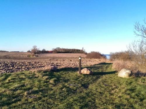 Naturlandskabet i nærheden af feriehuset