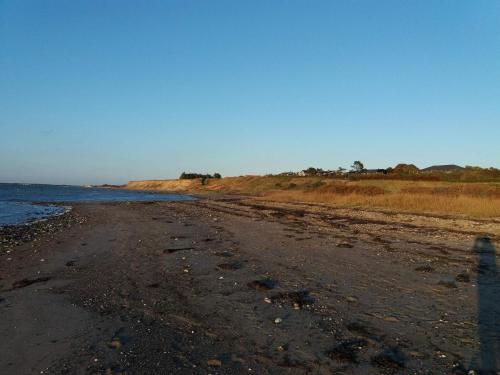 Naturlandskabet i nærheden af feriehuset