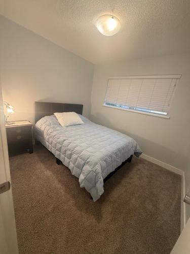 a small bedroom with a bed and a window at The Sunshine Haven in Delta