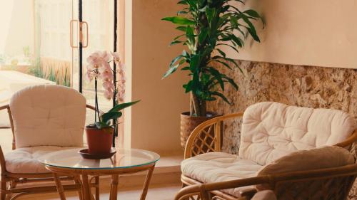a living room with two chairs and a table at Casa Sofía Centro in Mérida