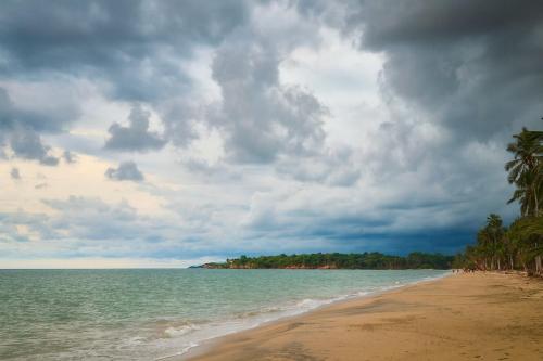 Gallery image of Lovely private cabin with beach access in Palomino in Palomino