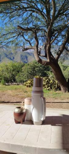 Příroda nedaleko prázdninového domu