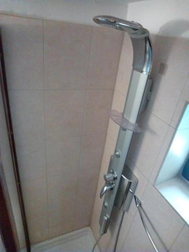 a shower with a shower head in a bathroom at Archontiko Pantou in Portariá