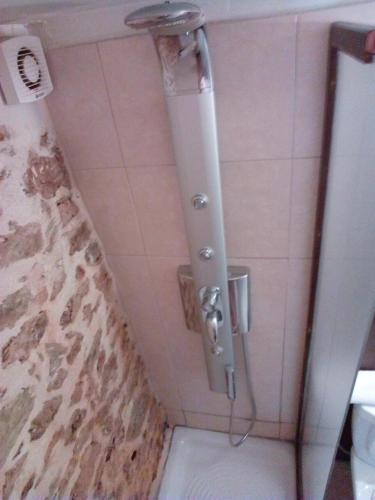 a shower in a bathroom with a toilet at Archontiko Pantou in Portariá