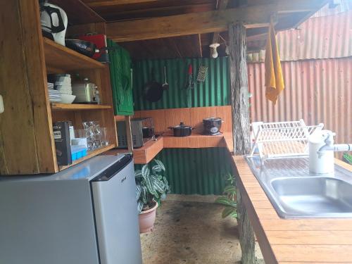 a kitchen with green walls and a sink and a refrigerator at Cabins river blue in Rio Celeste