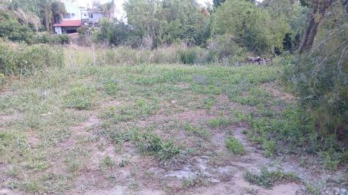 Φυσικό τοπίο κοντά σε αυτή η παραθεριστική κατοικία